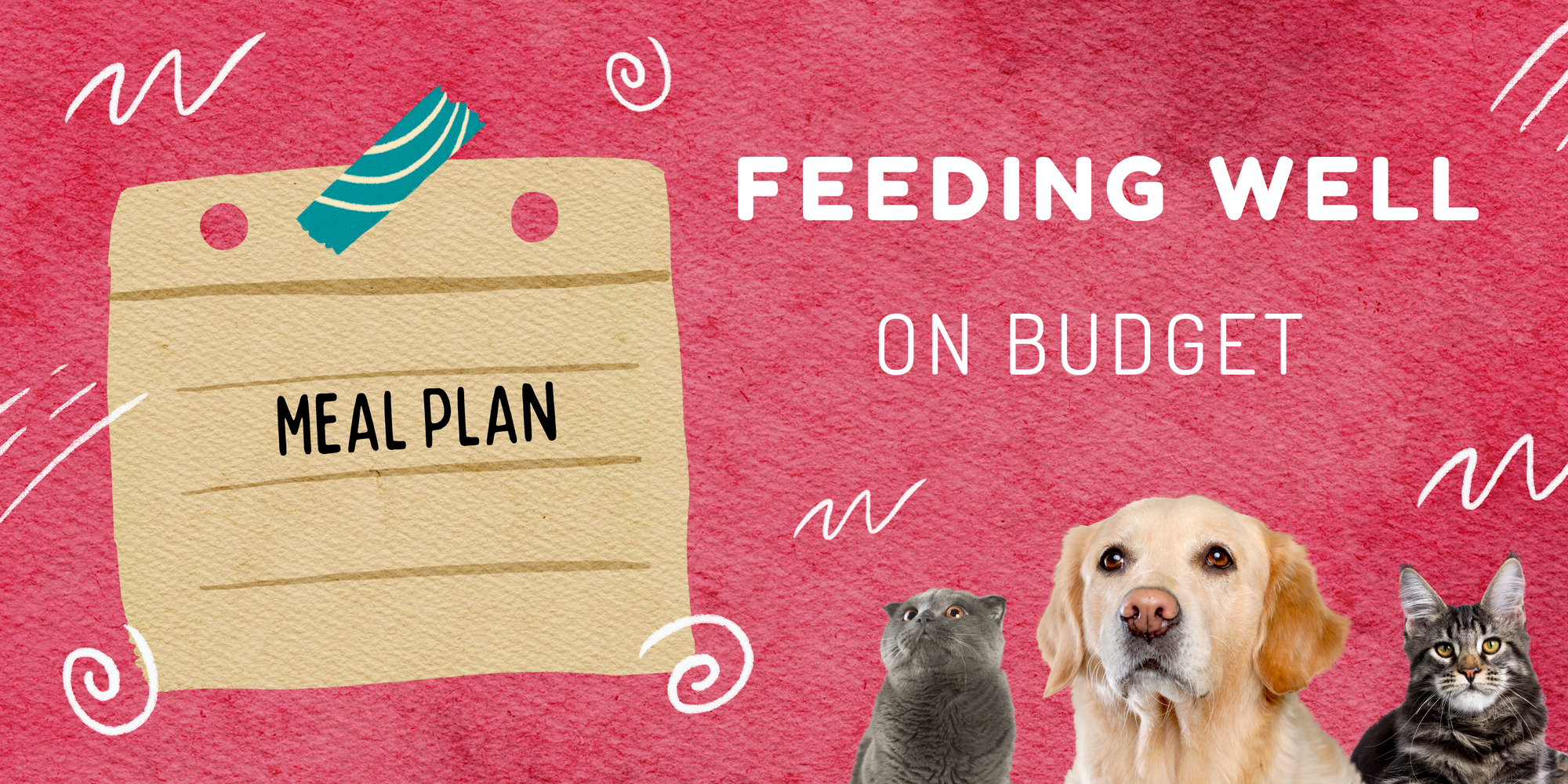 Feeding Well on Budget
