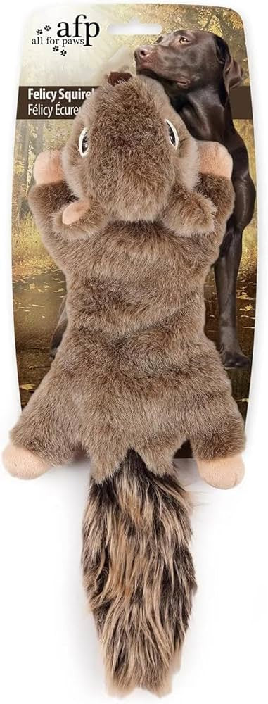 AFP Woodland Classic Felicy Squirrel Dog Toy – Pet Naturals