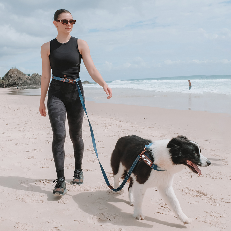 EzyDog Collars / Leads EzyDog Leash Road Runner 2.1m