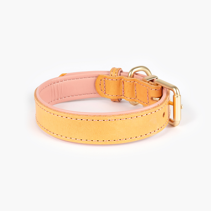 EzyDog Collars / Leads Ezydog Oxford Blush Buckle Collar