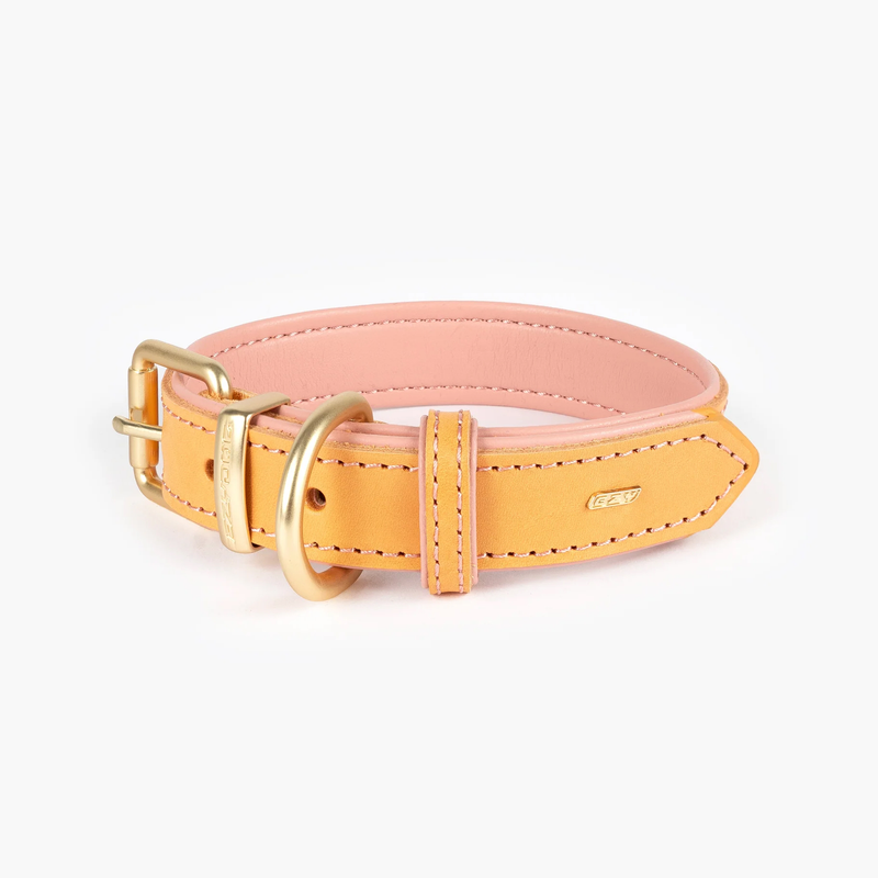 EzyDog Collars / Leads Ezydog Oxford Blush Buckle Collar