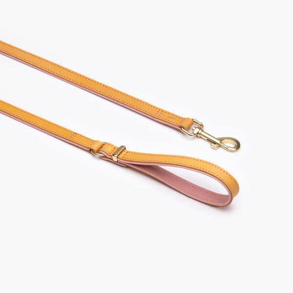 EzyDog Collars / Leads Ezydog Oxford Leather Leash Blush