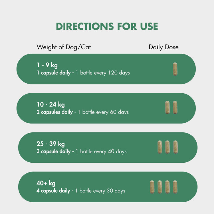 FlexiPaw Supplements FlexiPaw Green - Lipped Mussel for Dogs and Cats