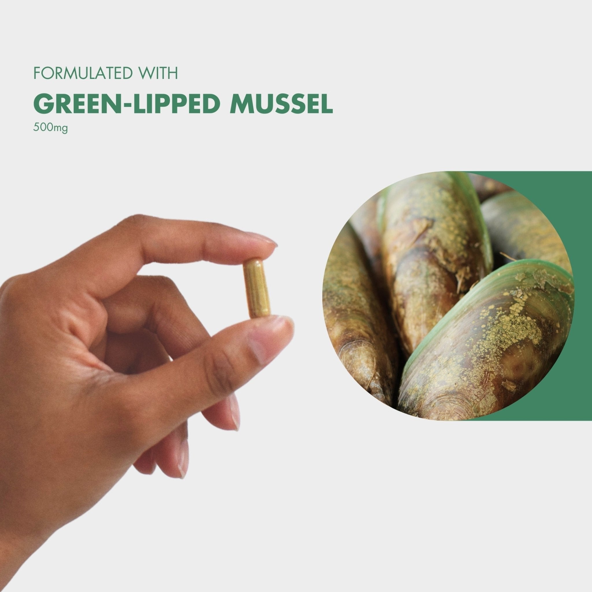 FlexiPaw Supplements FlexiPaw Green - Lipped Mussel for Dogs and Cats