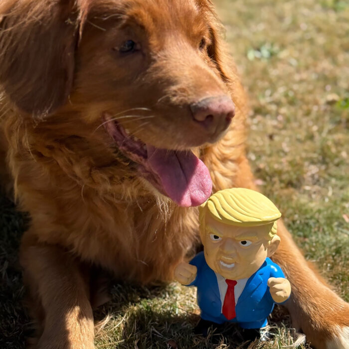 Grump Toys Grump Squeaky Dog Toy