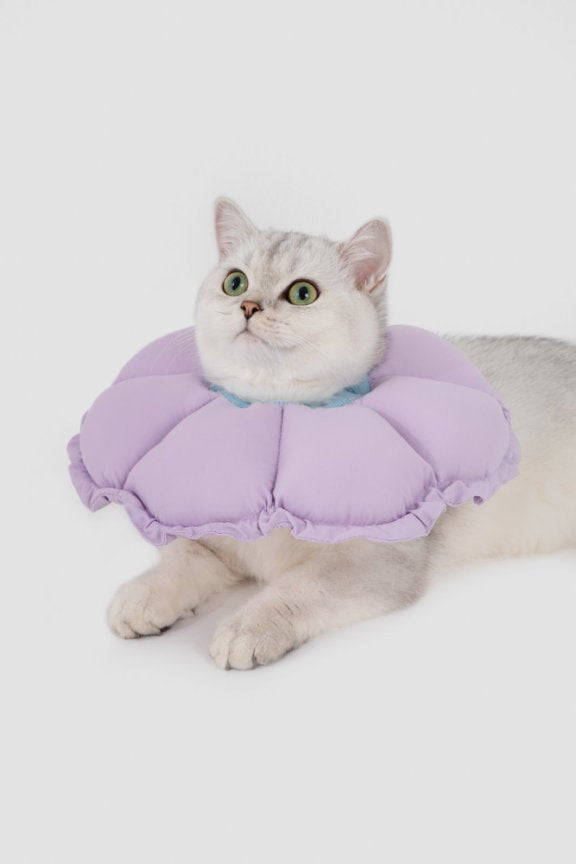 HiDream accessories Floral Elizabethan Collar Size M