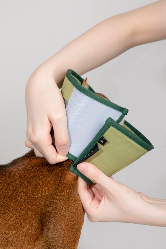 HiDream accessories Mesh Elizabethan Collar Size L