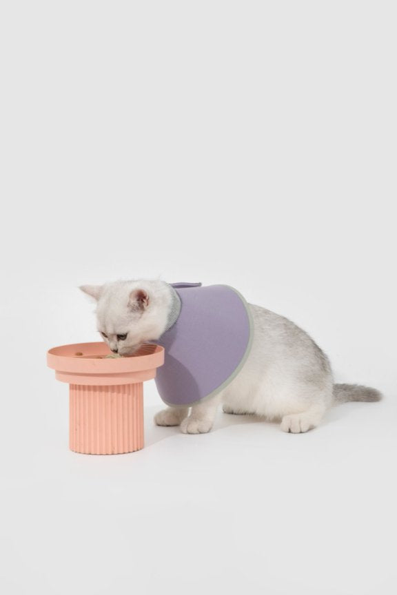 HiDream accessories "Snap-On Cone-Shaped Elizabethan Collar Size XL