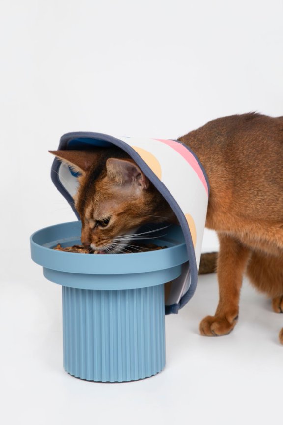 HiDream accessories Soft Cone-Shaped Elizabethan Collar Size M