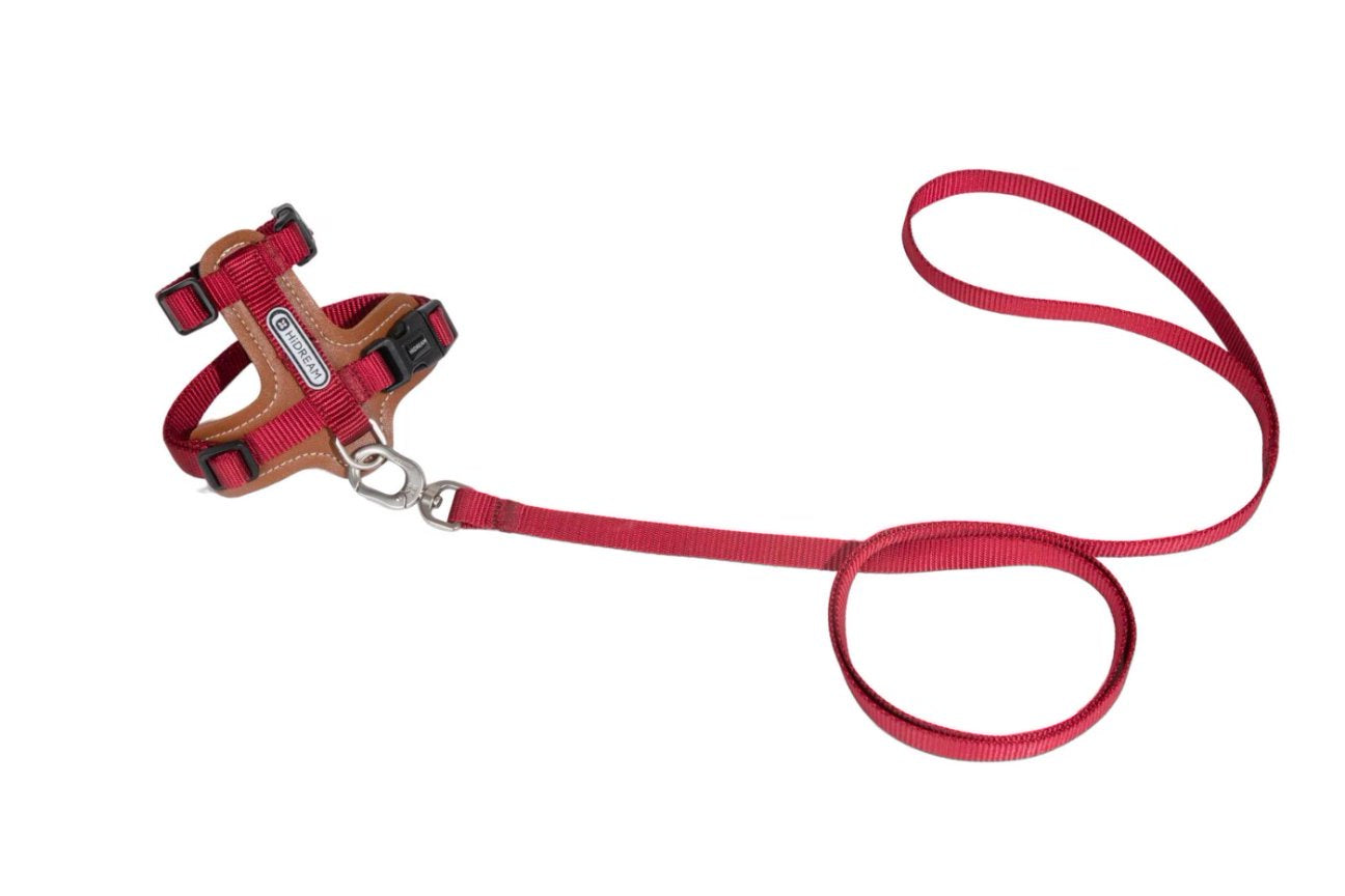 HiDream Collars / Leads Leather Cat Harness & Leash Set