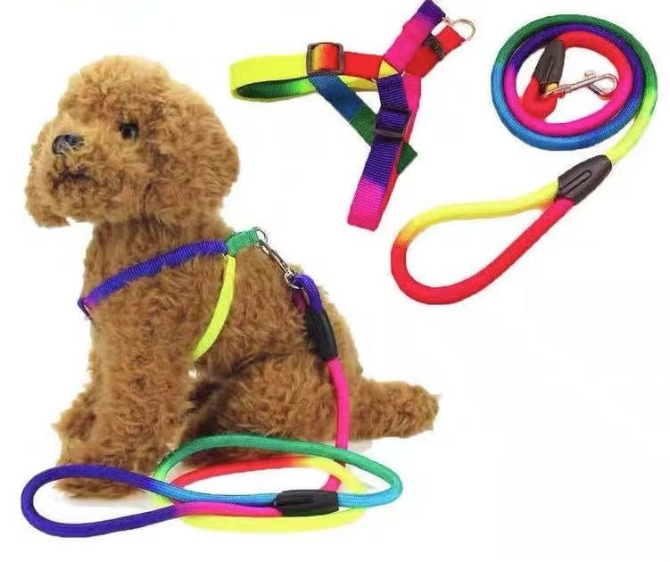 Not specified Collars / Leads Rainbow Lead & Harness Set