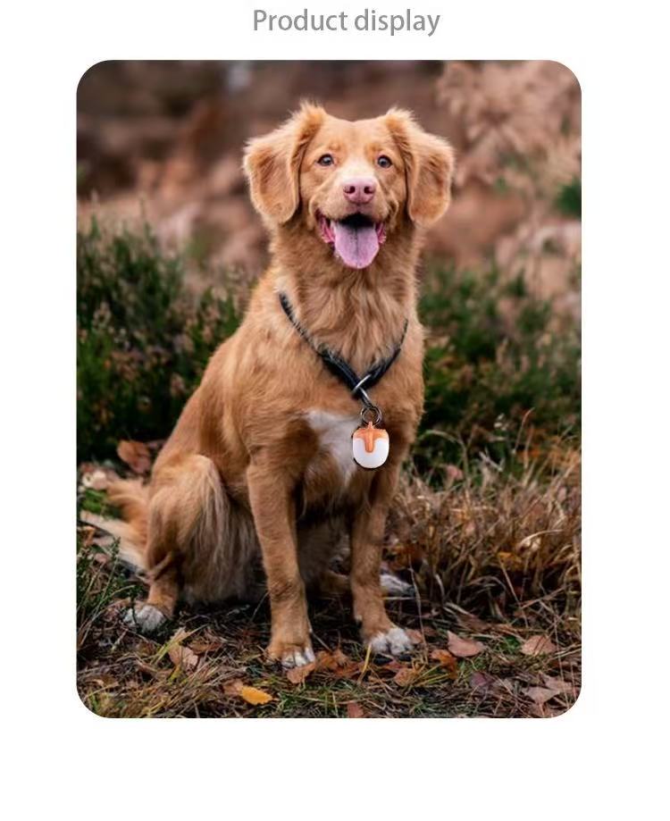 Not specified Collars / Leads Rechargable Safety Light for Pet