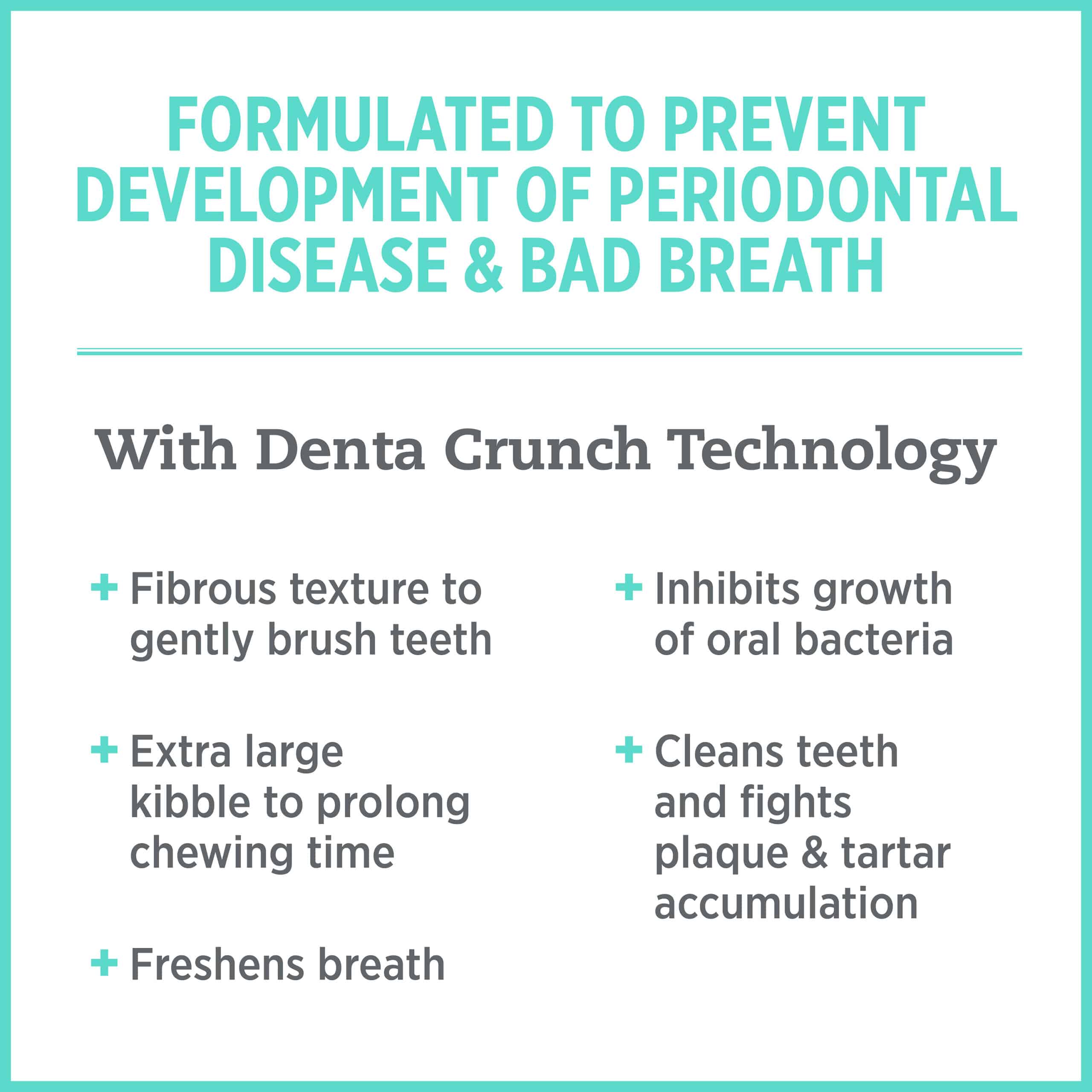 Nutrience Biscuits Nutrience CARE Oral Health Cat Food 1.5KG