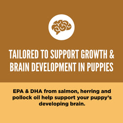 Orijen Biscuits Orijen Puppy Food