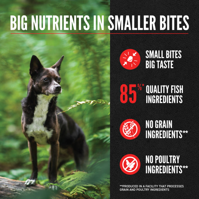 Orijen Biscuits Orijen Small Breed Marine Fish Dog Food