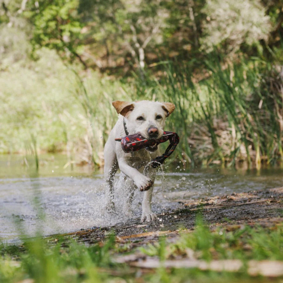 P.L.A.Y. Toys P.L.A.Y. Scout & About Toss & Float Dog Toy