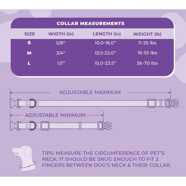 Perris Print Ltd Collars / Leads Daisy Collar