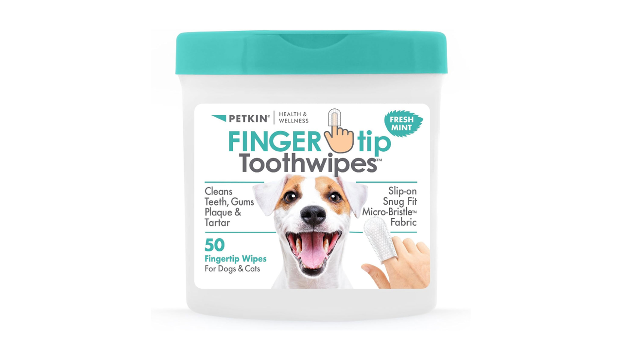 Petkin Grooming Aids Petkin Fingertip Tooth Wipes Mint 50 Pack