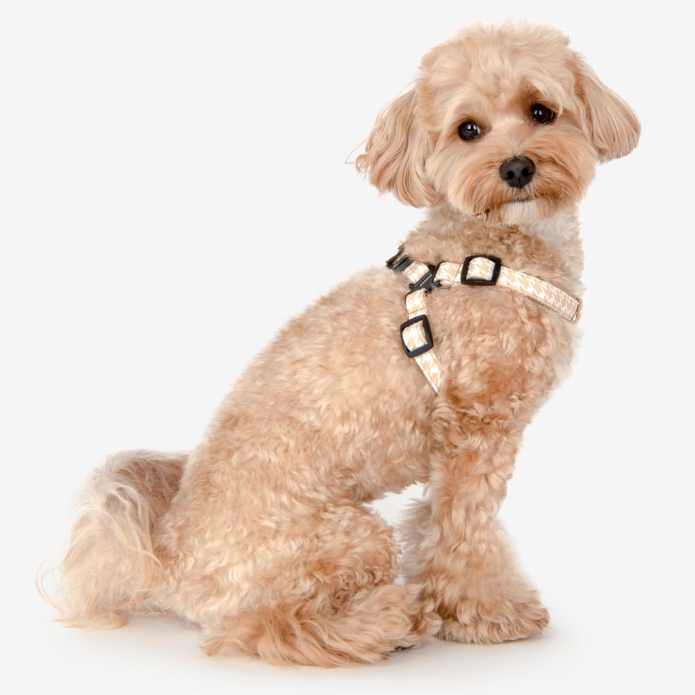 Puppia Harnesses / Haltis Egon Harness X plus