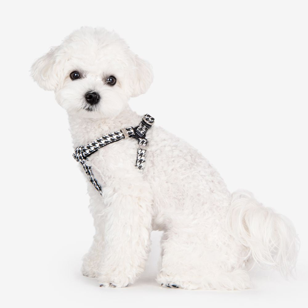 Puppia Harnesses / Haltis Egon Harness X plus