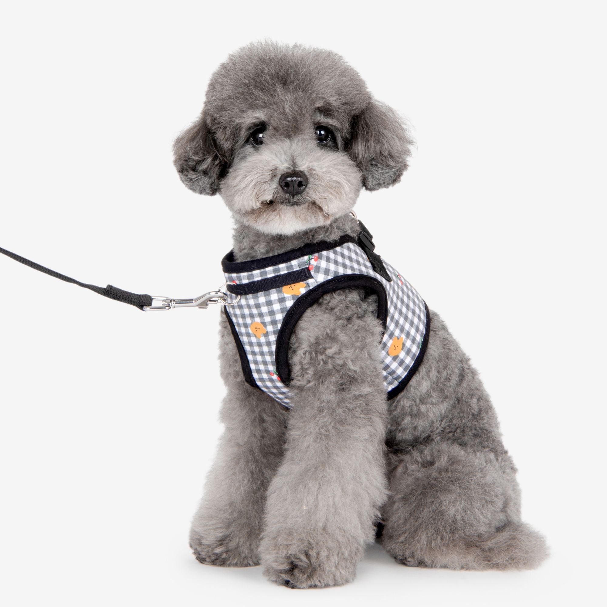 Puppia Harnesses / Haltis Puppia Baba Vest Harness