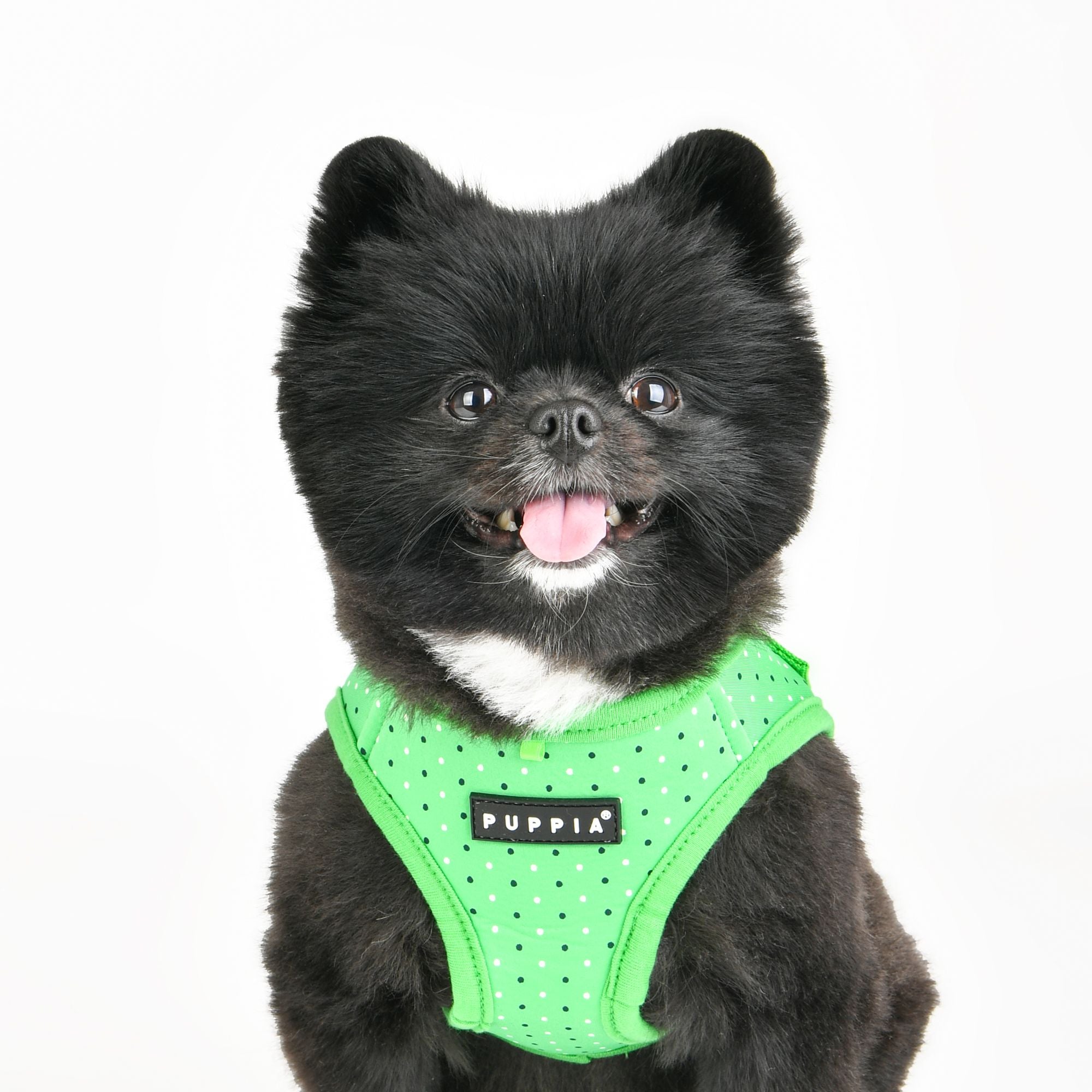 Puppia Harnesses / Haltis Puppia Bonnie Vest Harness