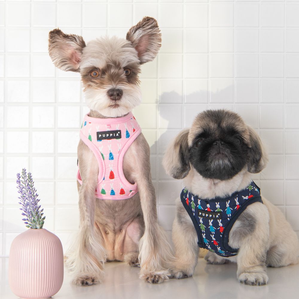 Puppia Harnesses / Haltis Puppia Mollie Vest Harness