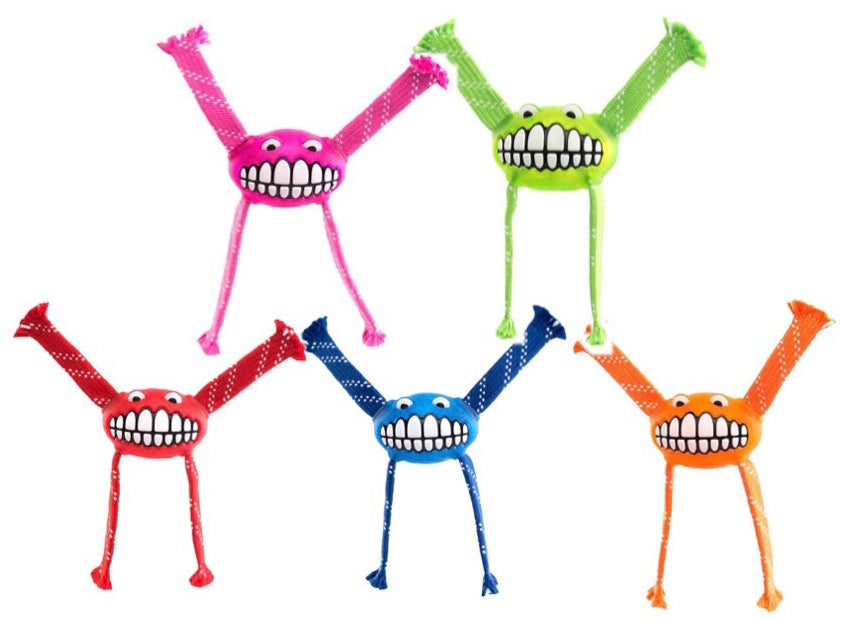 Rogz Toys Rogz Flossy Grinz Dog Toy