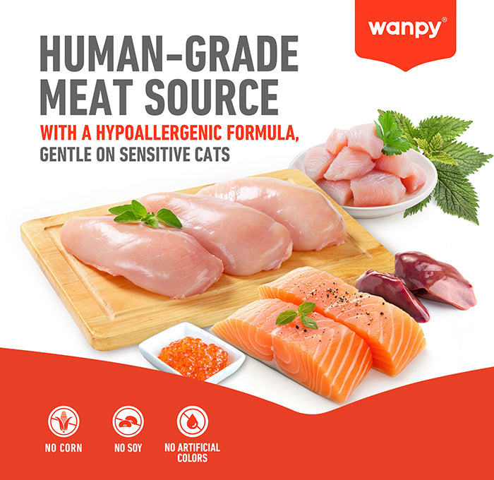 Wanpy Treats Wanpy Catnip Crunchy Pockets Cat Treats 60g
