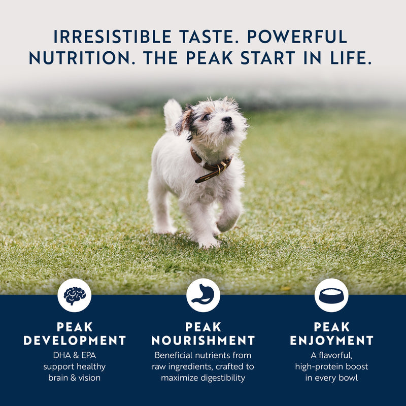 Ziwi Peak Canned Food Ziwi Peak Canned Chicken With Lamb Puppy Food 170g