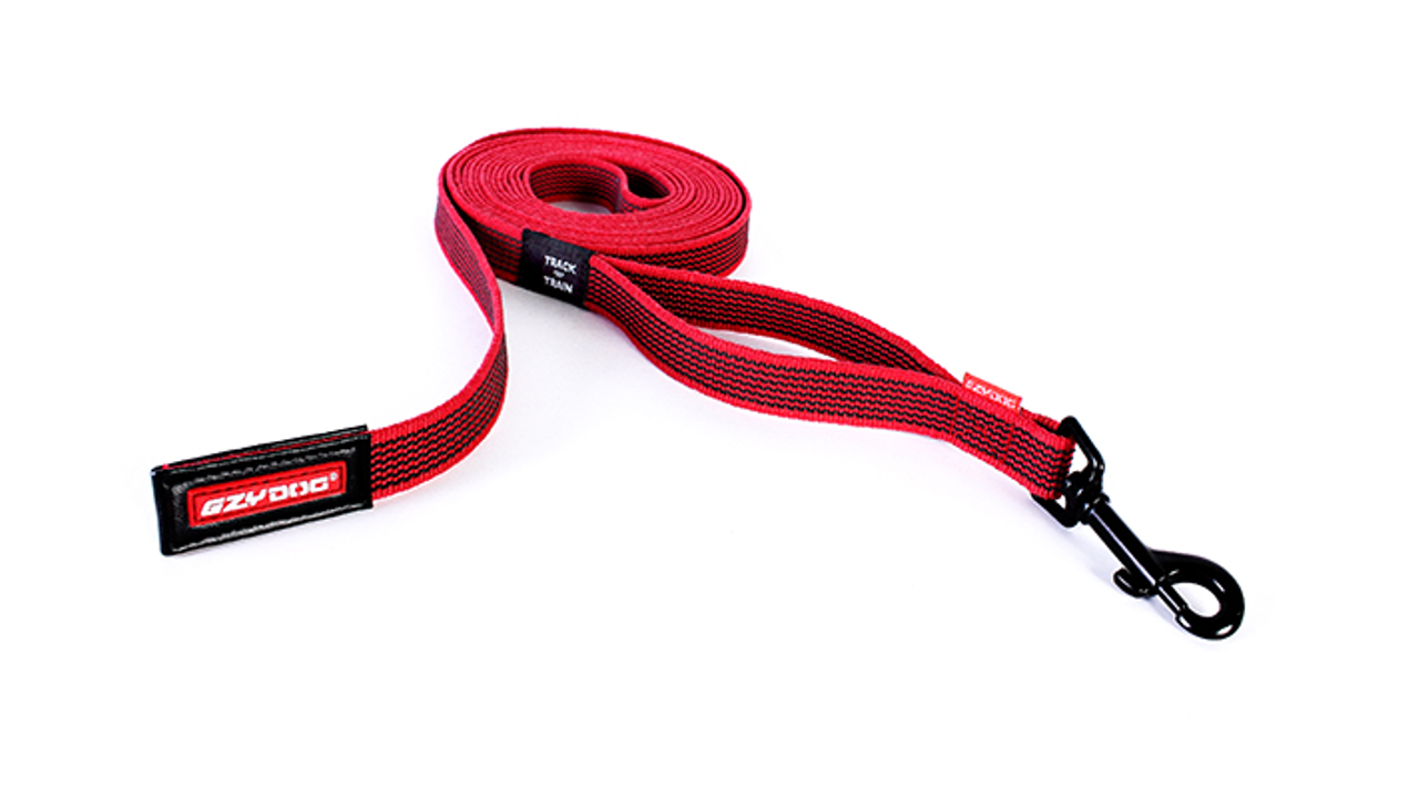EzyDog Collars / Leads ED Leash Track'n Train 5m