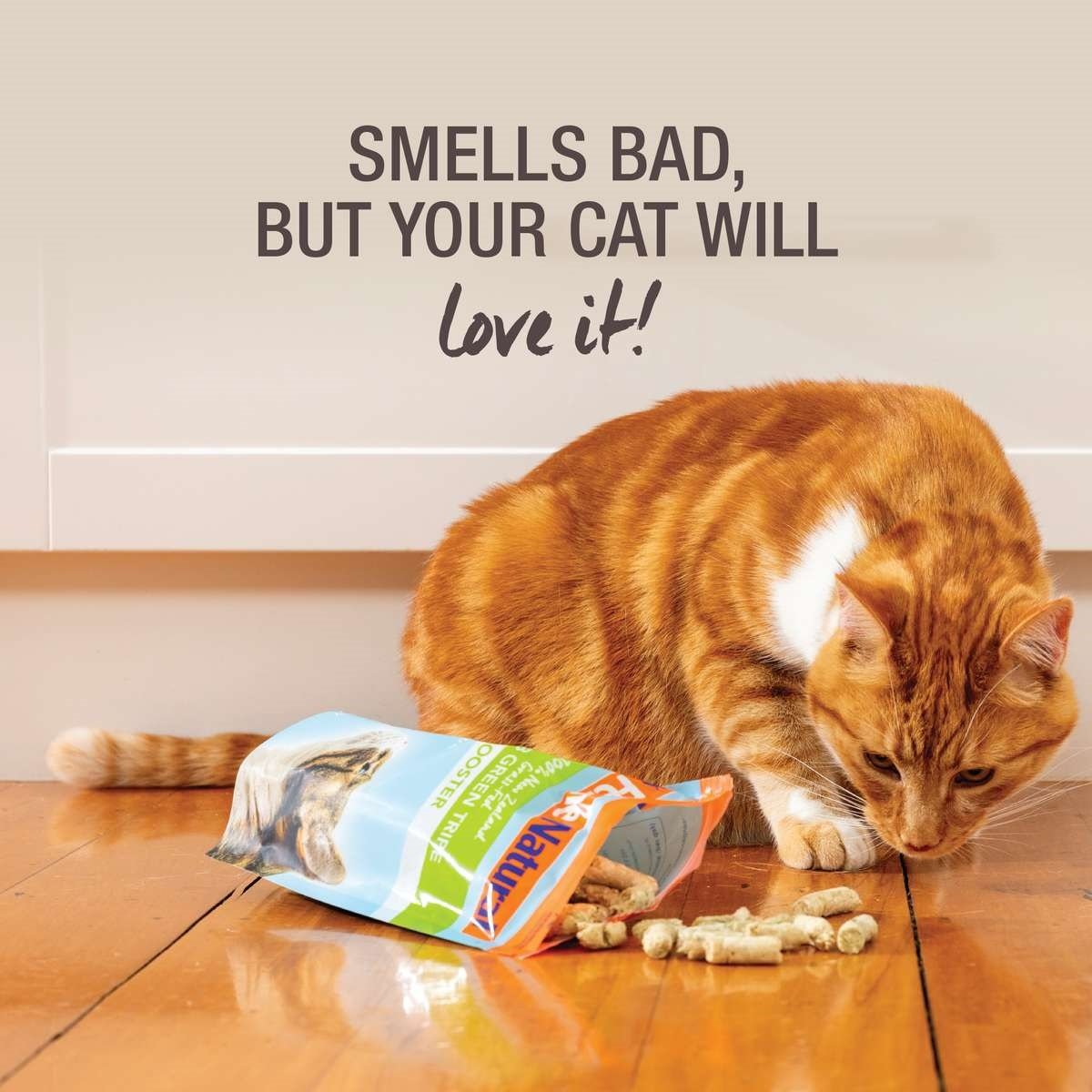 Feline Natural Freeze Dried Feline Natural Lamb Green Tripe Booster 57g