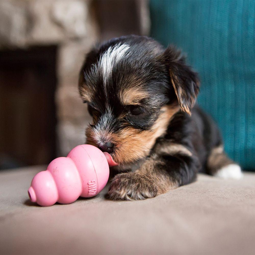Kong Toys Kong Puppy Toy