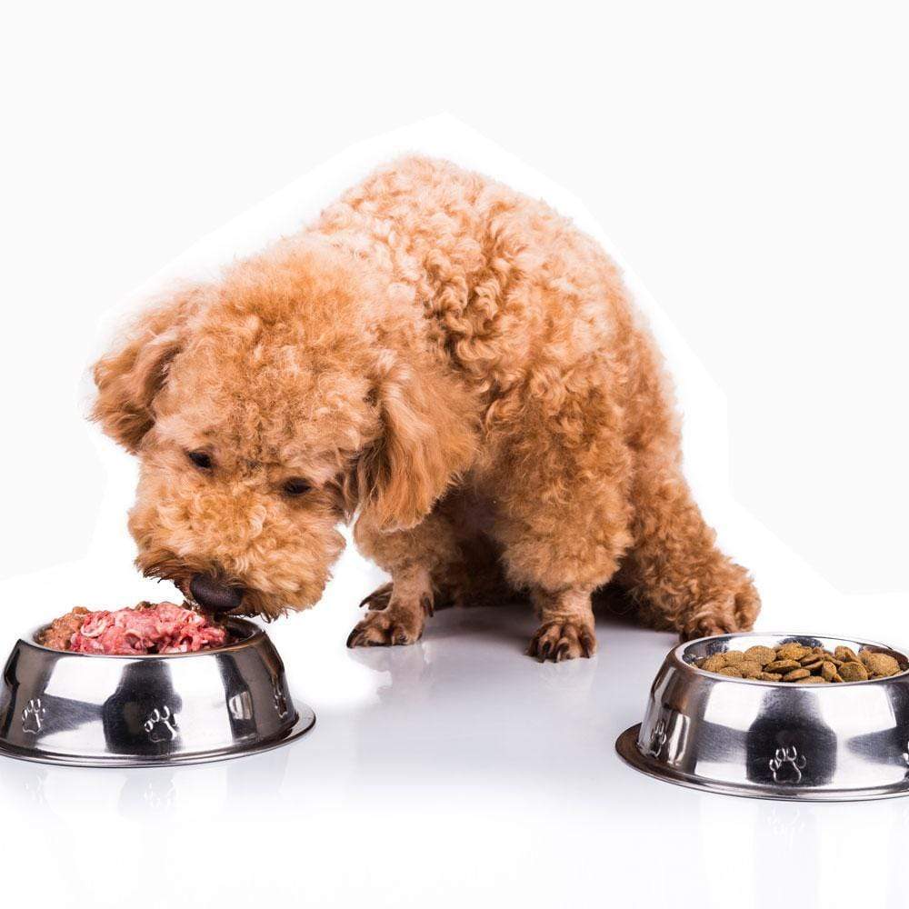 pet naturals meal plan Transition Menu - for dogs starting a raw diet