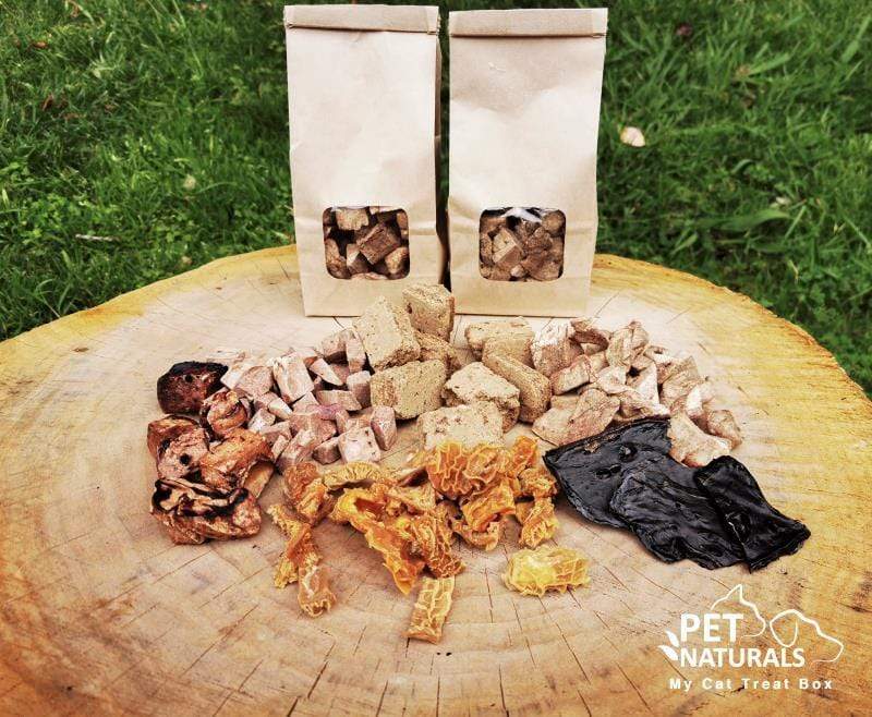 pet naturals Treats Pet Naturals Cat Treat Box Large