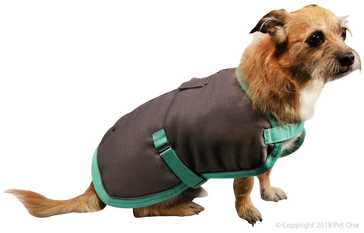 Pet One Apparel Pet One Dog Coat - Night Sleeper