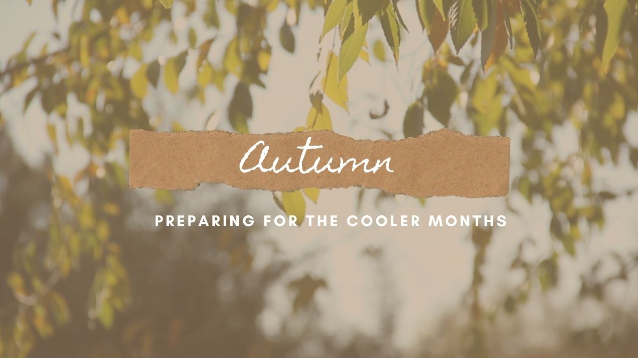 Preparing For The Cooler Months