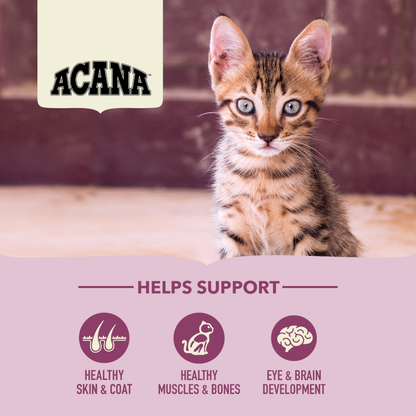 Acana Biscuits Acana  First Feast Kitten Food