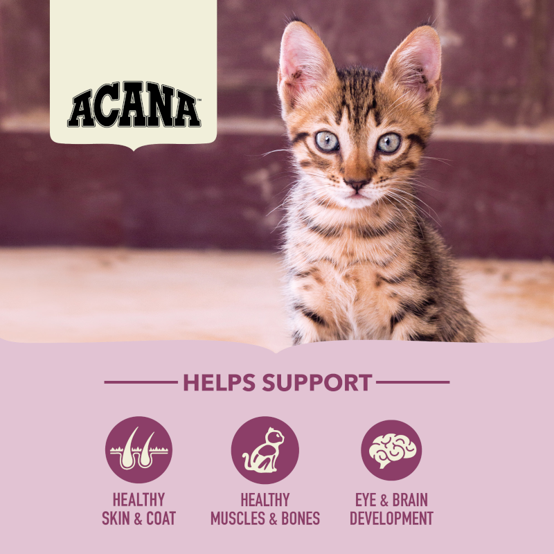 Acana Biscuits Acana  First Feast Kitten Food