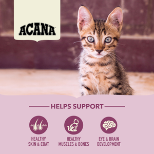 Acana Biscuits Acana  First Feast Kitten Food