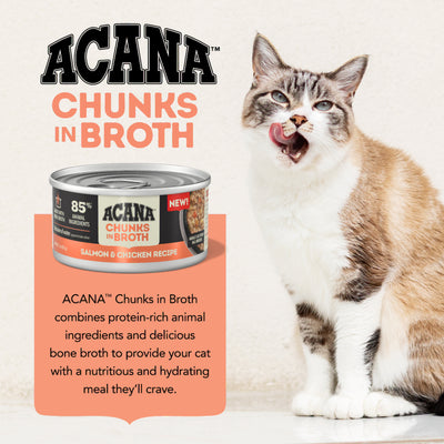 Acana Canned Food ACANA Cat Salmon & Chicken Chunks in Broth