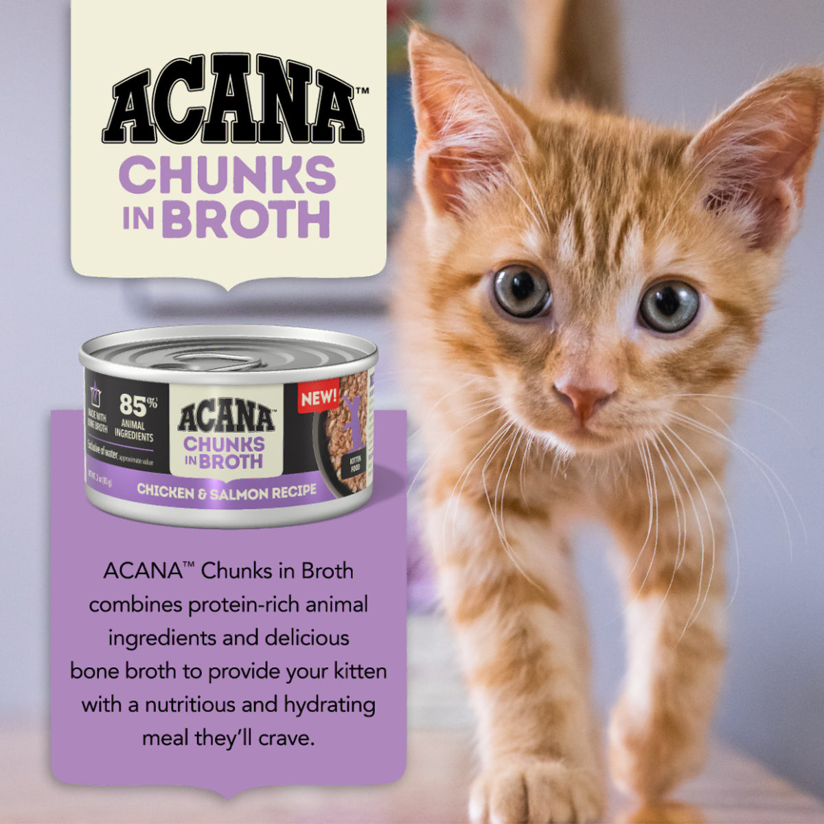 Acana Canned Food ACANA Kitten Chicken & Salmon Chunks in Broth 85g