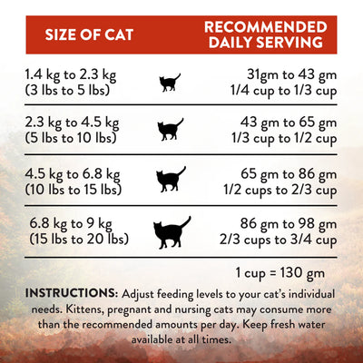 Addiction Biscuits Addiction Wild Island - Forest Meat Cat Food 1.8kg