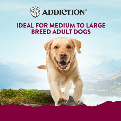 Addiction Canned Food Addiction MEGA Meaty Loaf Country Chicken Dinner Wet Dog Food 700g