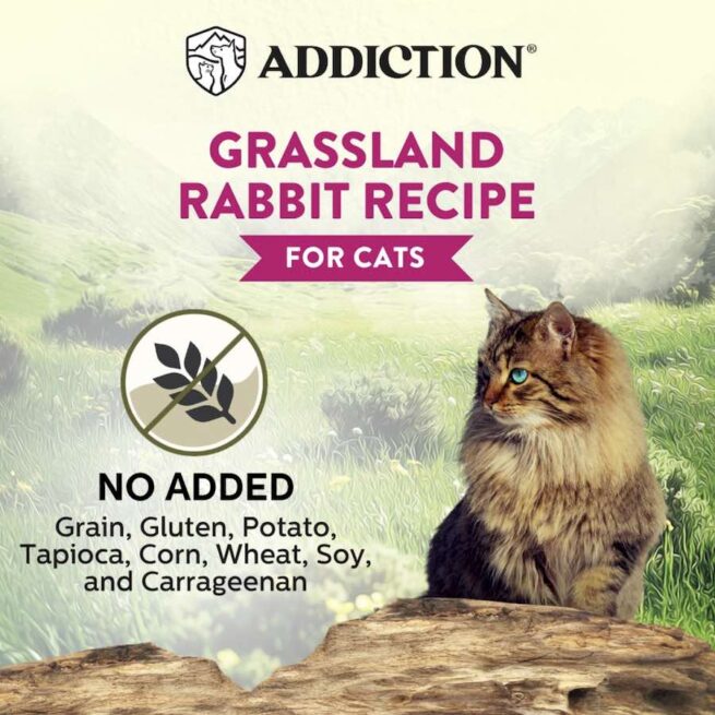 Addiction Canned Food Addiction Wild Island Grassland Rabbit Recipe Wet Cat Foods 85g