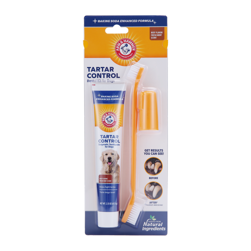 Arm & Hammer Grooming Aids Arm & Hammer Tartar Control Dental Kit For Dogs (Beef) 74ml