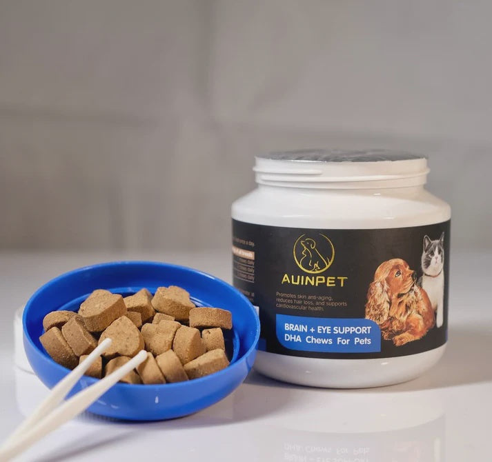 Auinpet Supplements Auinpet Brain + Eye Support DHA Chews for Pets