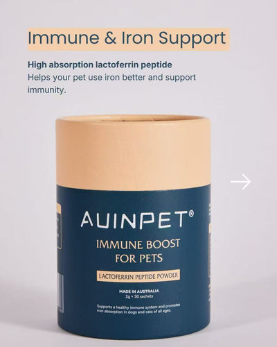 Auinpet Supplements Auinpet Immune Boost for Pets