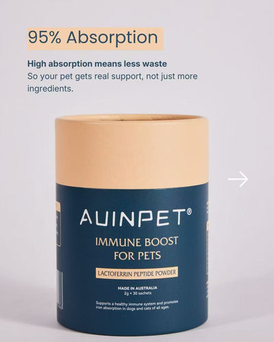 Auinpet Supplements Auinpet Immune Boost for Pets