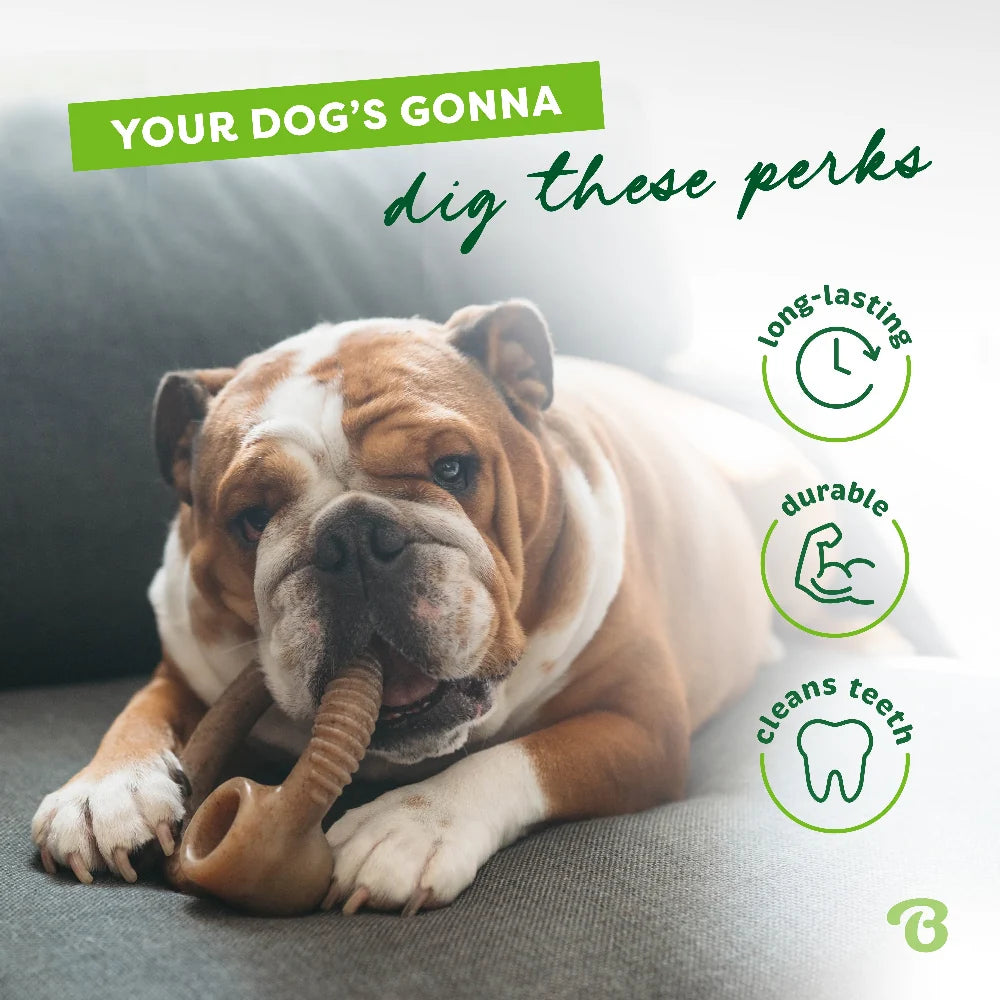 Benebone Treats Benebone Dog Chew Ring